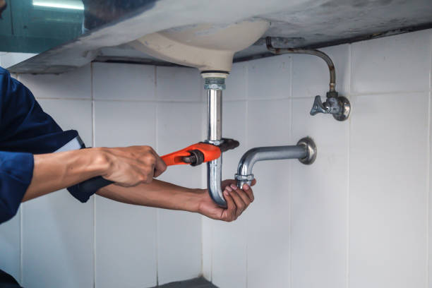 Best Plumbing Inspection Services  in Bayard, NM